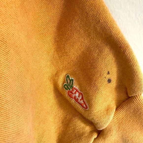 CARROTS BY ANWAR CARROTS X BABYLON STACKED LOGO HOODIE - Picture 7 of 9